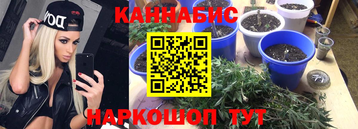 Каннабис Amnesia Магадан